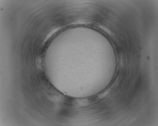 X0000075841258200610061838