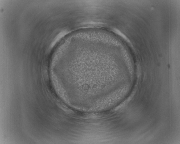 X0000075841259200610061838