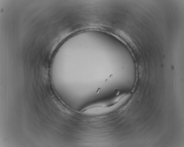 X0000075841260200610061838