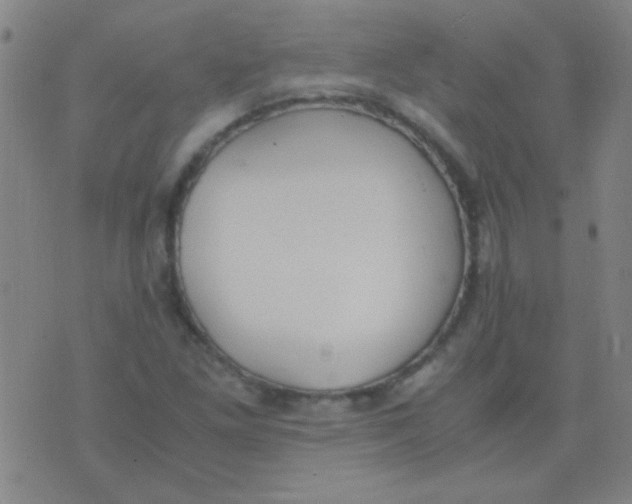 X0000075841261200610061838