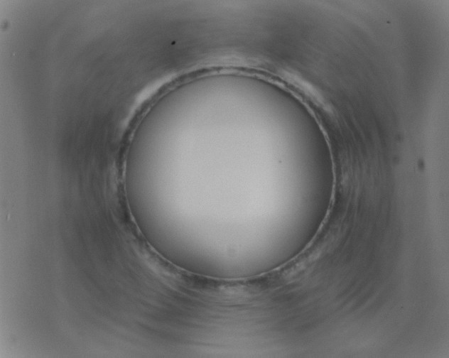 X0000075841264200610061838