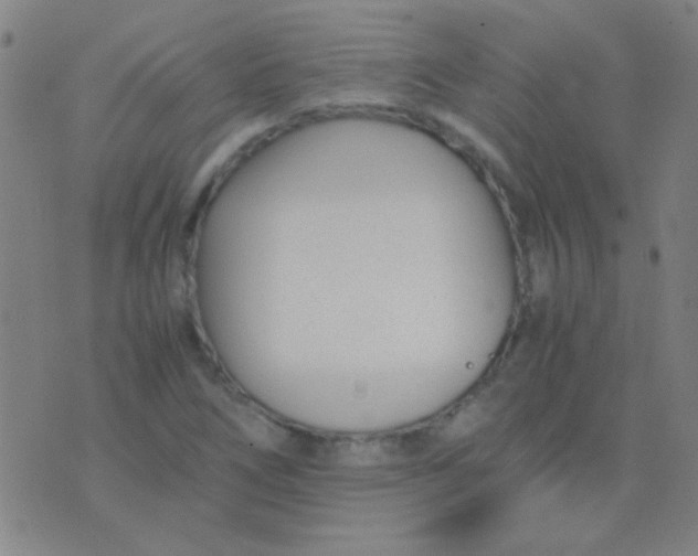 X0000075841266200610061838