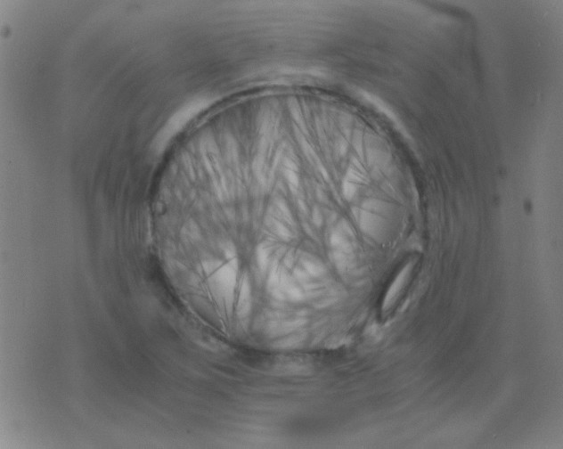 X0000075841267200610061838