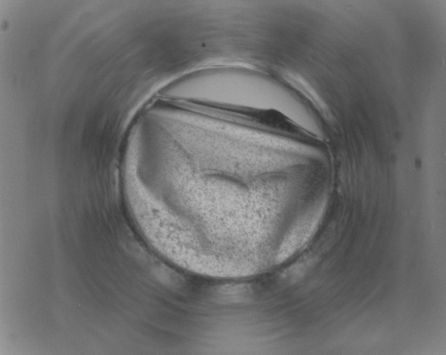 X0000075841268200610061838