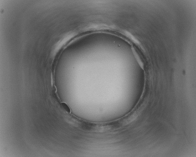 X0000075841269200610061838