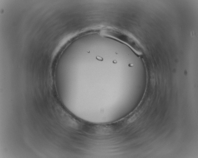 X0000075841270200610061838