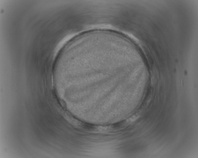 X0000075841271200610061838