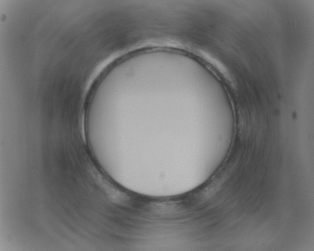 X0000075841272200610061838