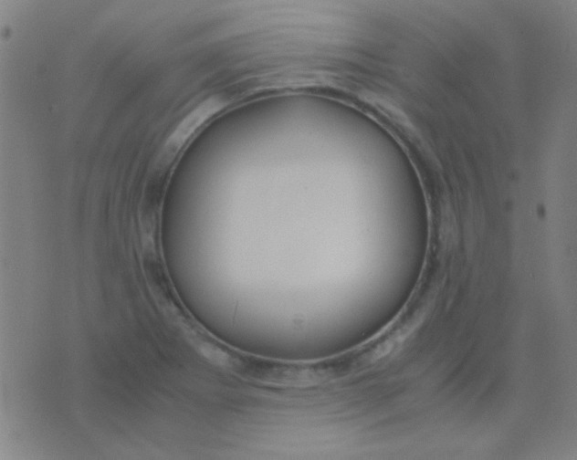 X0000075841273200610061838