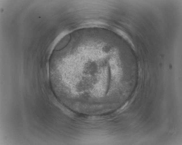 X0000075841275200610061838