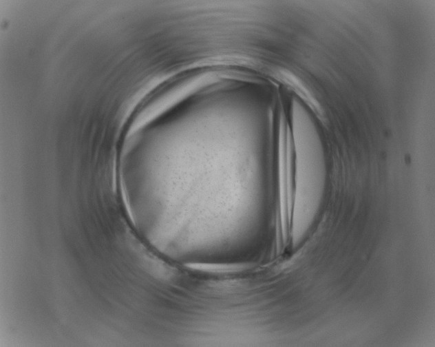 X0000075841276200610061838