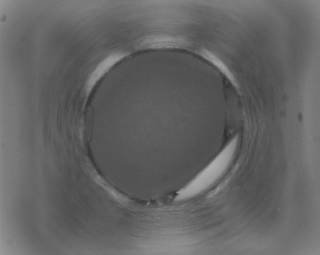 X0000075841277200610061838