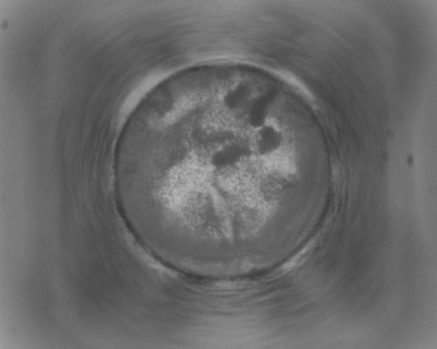 X0000075841279200610061838