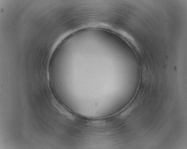 X0000075841280200610061838