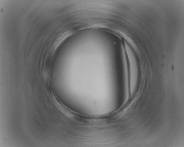 X0000075841281200610061838