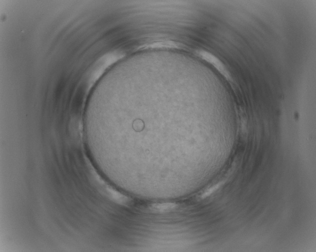 X0000075841282200610061838