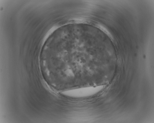 X0000075841283200610061838