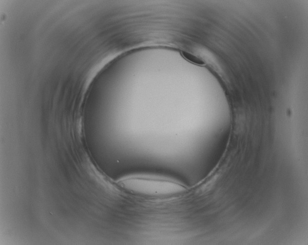 X0000075841284200610061838