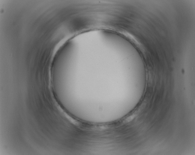 X0000075841286200610061838