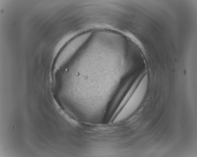 X0000075841287200610061838