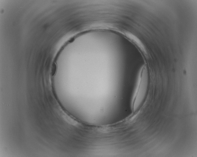 X0000075841288200610061838