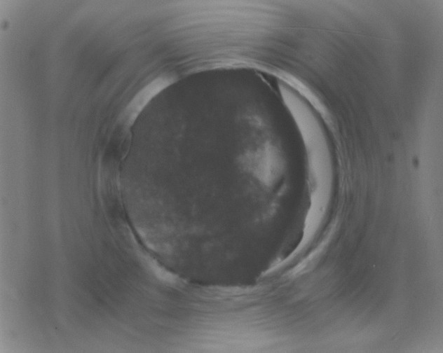 X0000075841289200610061838