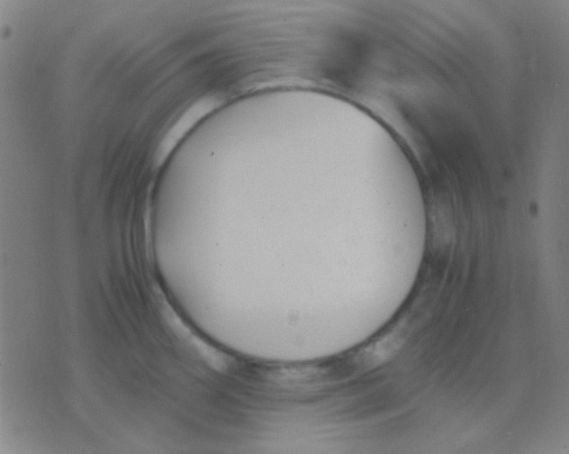 X0000075841290200610061838