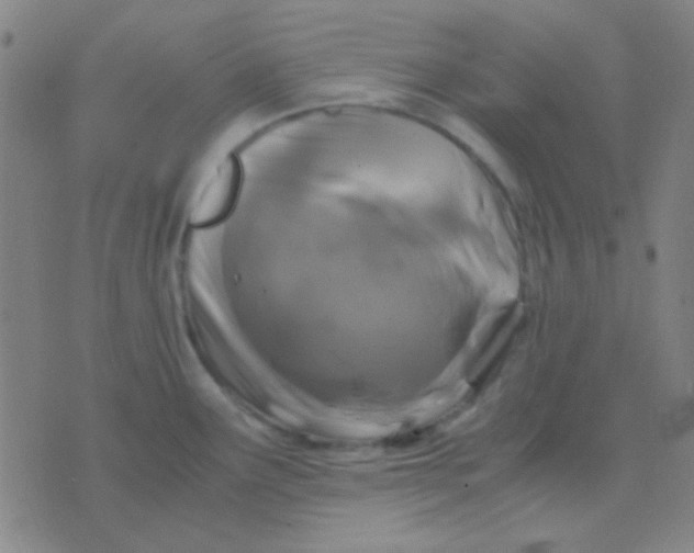 X0000075841291200610061838