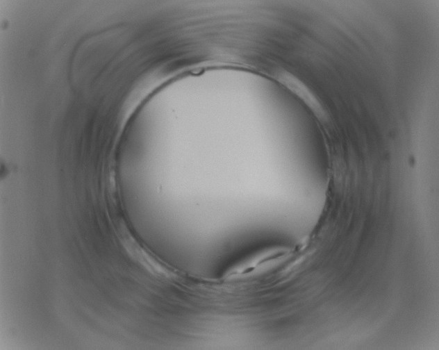 X0000075841292200610061838