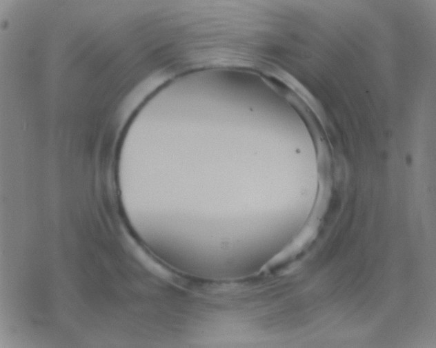 X0000075841293200610061838