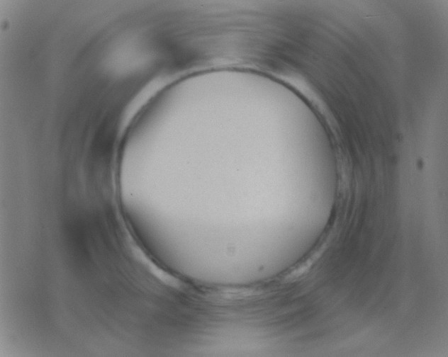 X0000075841294200610061838