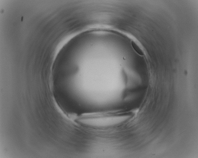 X0000075841295200610061838