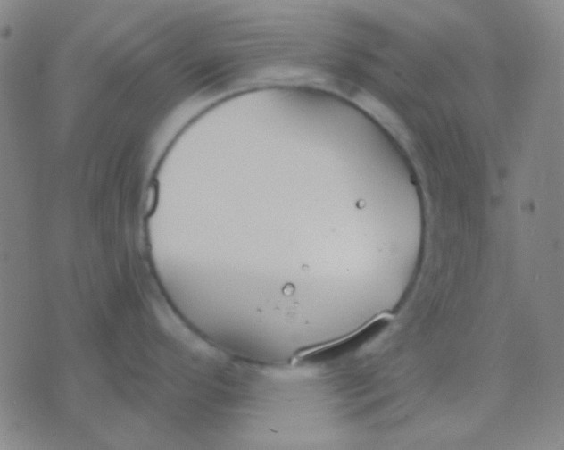 X0000075841296200610061838