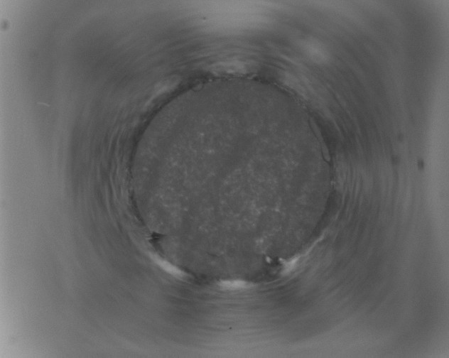 X0000075841297200610061837