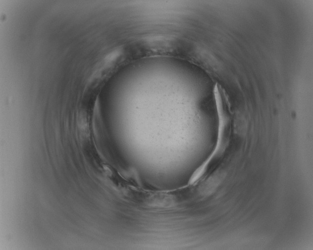 X0000075841298200610061837