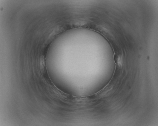 X0000075841299200610061837