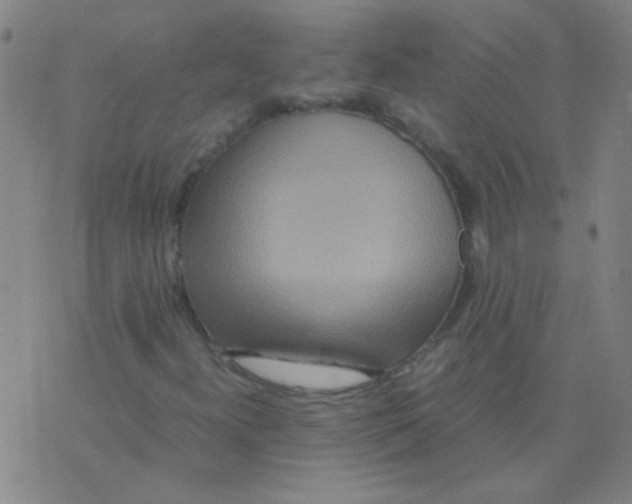 X0000075841300200610061837