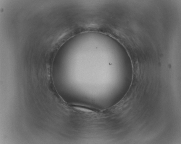 X0000075841301200610061837