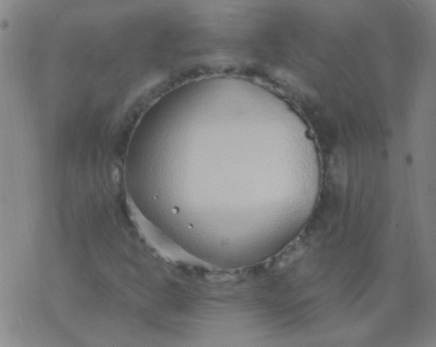 X0000075841302200610061837