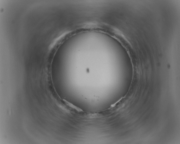 X0000075841304200610061837