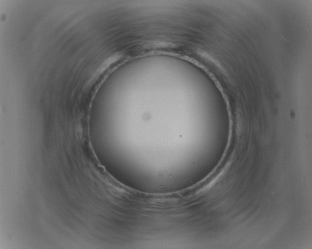 X0000075841305200610061837