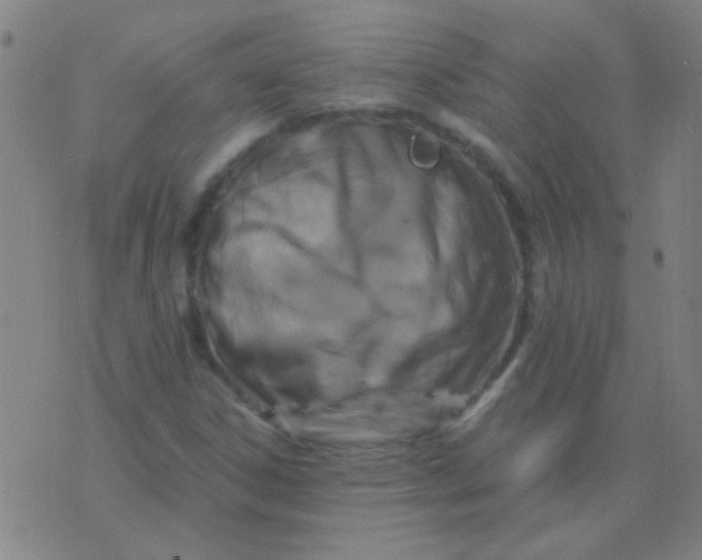 X0000075841306200610061837