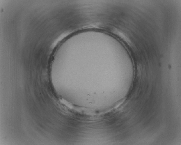 X0000075841308200610061837