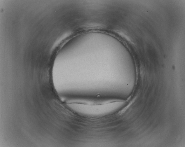 X0000075841309200610061837