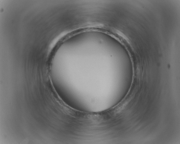 X0000075841310200610061837