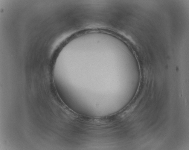 X0000075841311200610061837