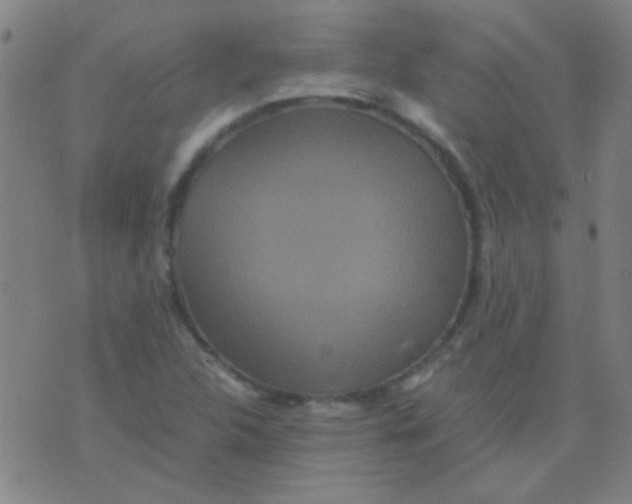 X0000075841312200610061837