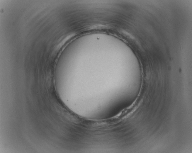 X0000075841313200610061837