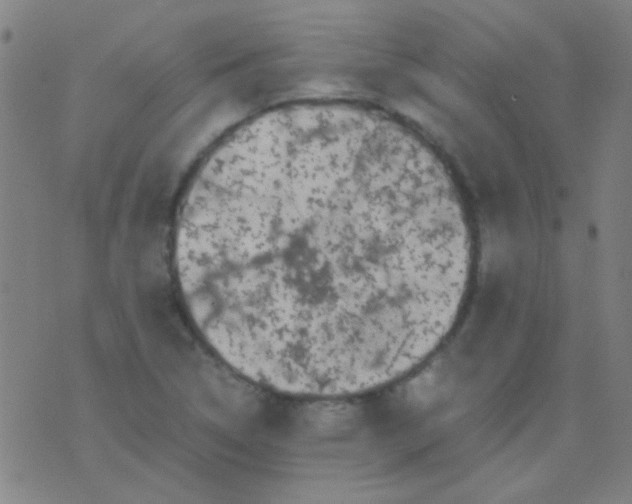 X0000075841314200610061837