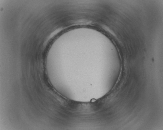 X0000075841315200610061837